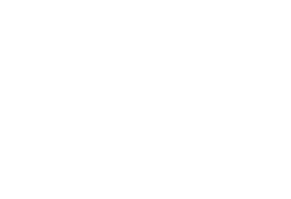 KZ Guitar Works